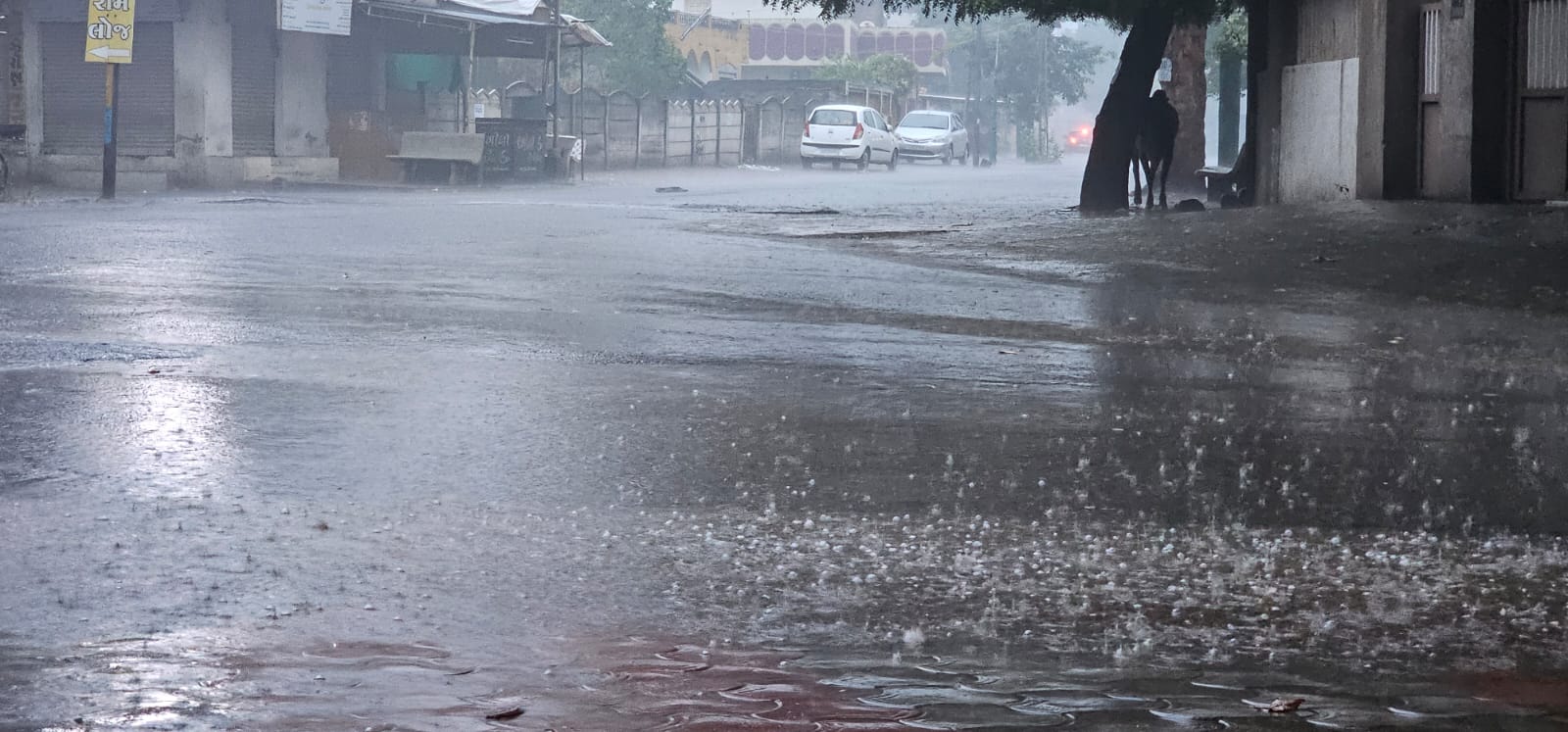 Gondal : વહેલી સવારથી કમોસમી વરસાદ, યાર્ડમાં વેપારીઓની જણસી પલળી